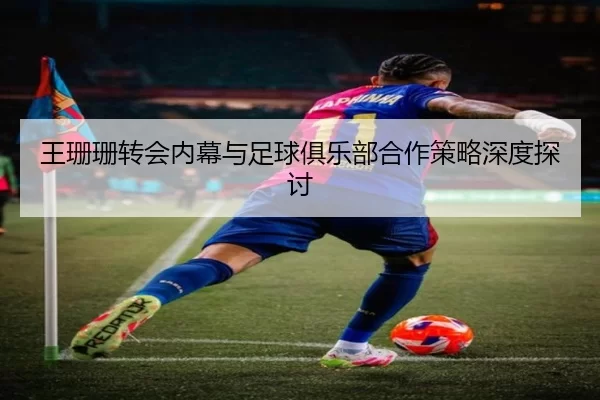 王珊珊转会内幕与足球俱乐部合作策略深度探讨